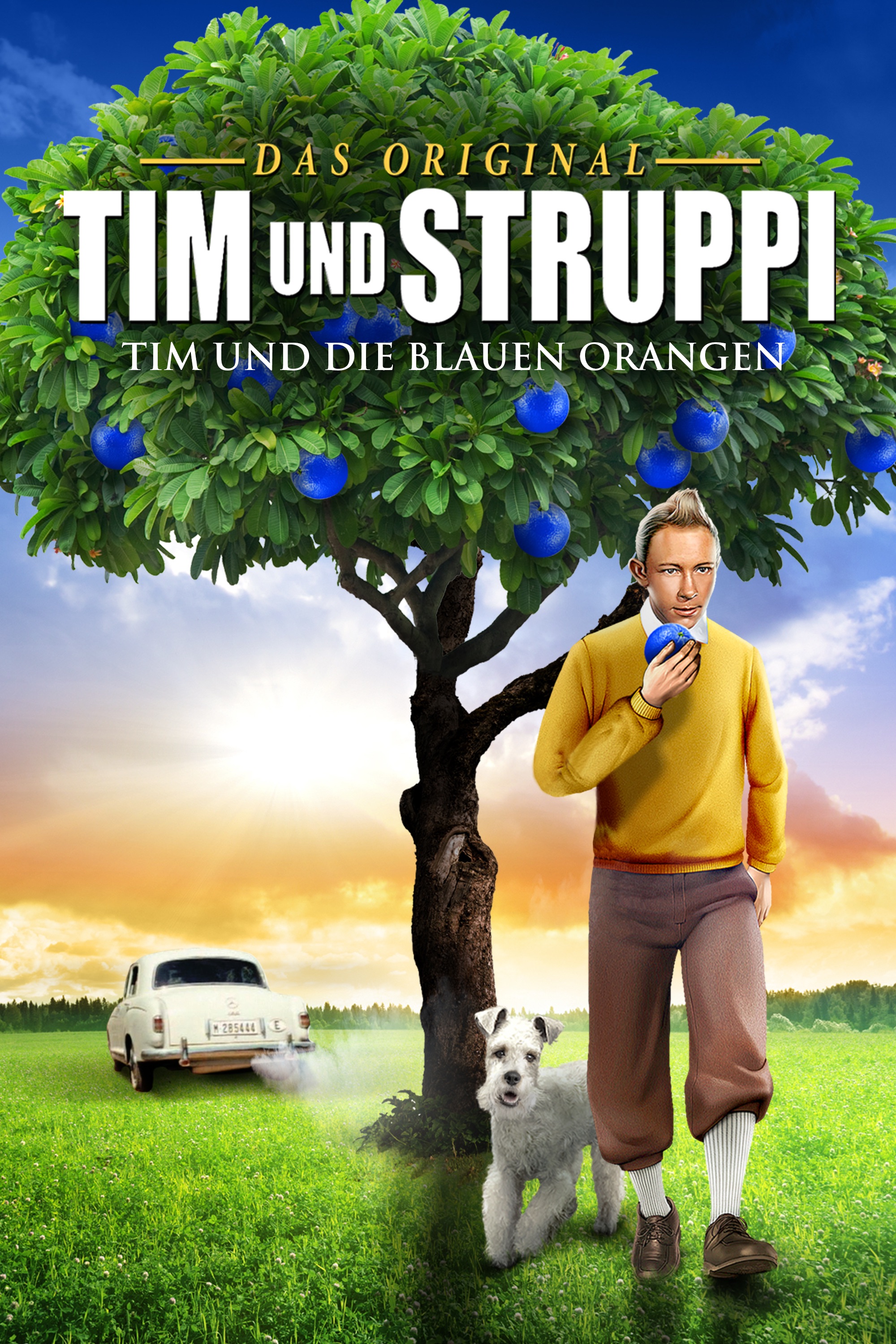 Cover zum Film: Tim und Struppi und die blauen Orangen